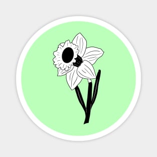 Black and White Daffodil Flower Magnet